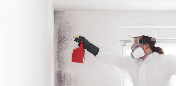 Best Mold Remediation for Schools in Bloomingdale, GA