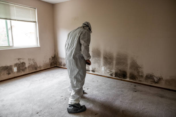 Best Residential Mold Remediation in Bloomingdale, GA
